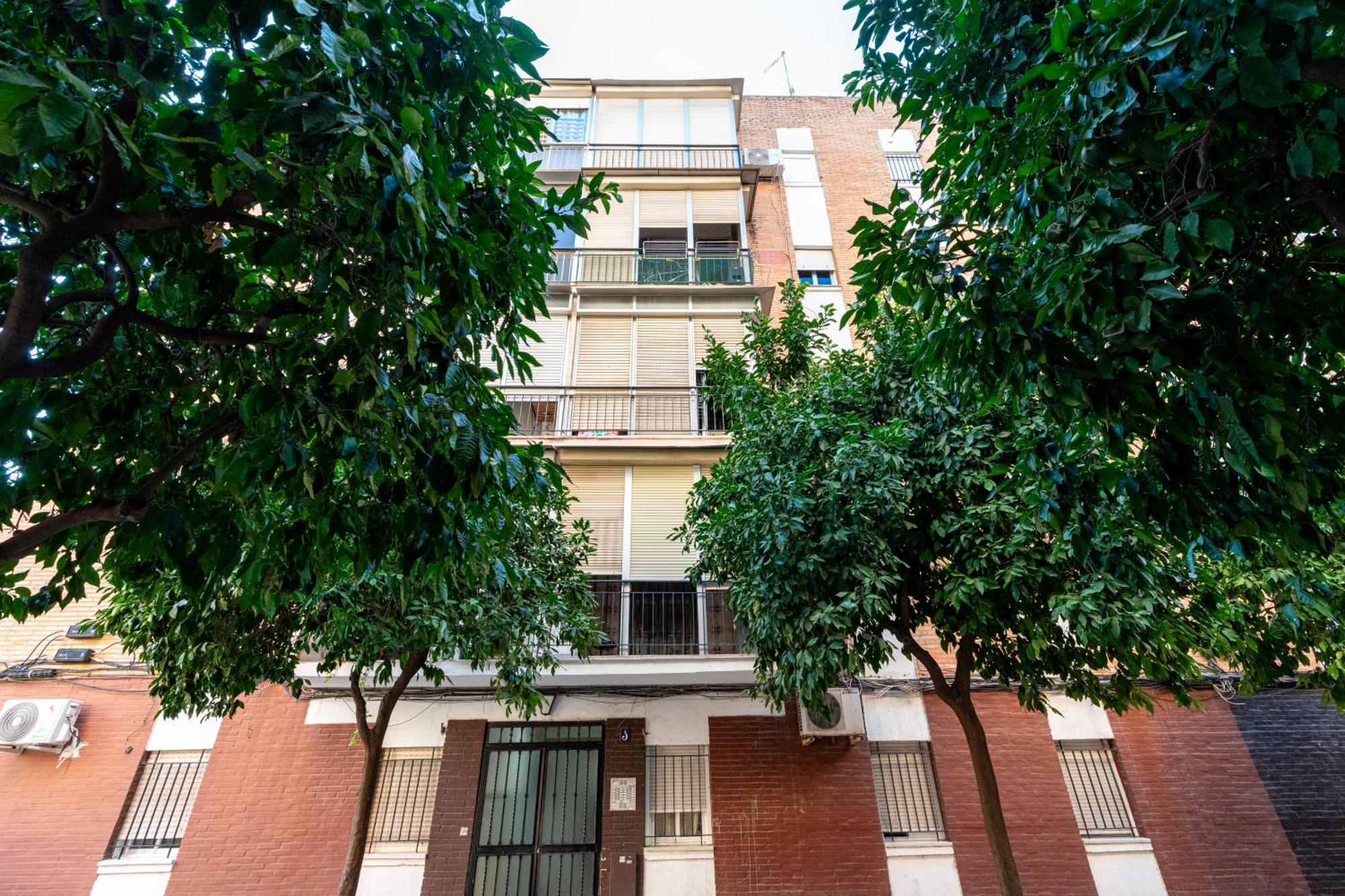Piso Elegante Y Nuevo De 3 Y 2 Banos Appartamento Siviglia